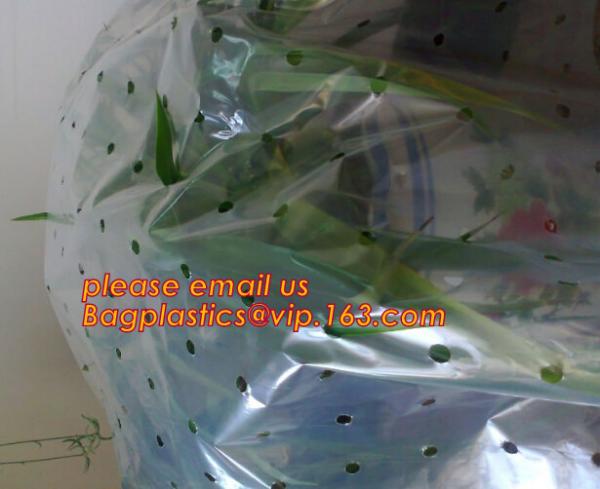 Greenhouse, Agricultural Polyethylene Film, Mulch Films, Horticultural Products, Perforated Wrap, Tomato, Flowers