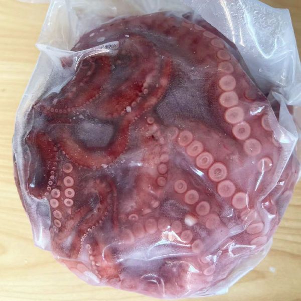 Oem Hot Selling Healthy Japanese Seafood Food Material Natural Taste Frozen Boiled Octopus Cleande Baby Octopus