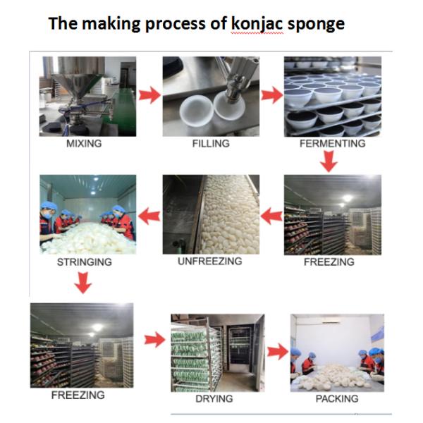 Сравнивать OEM красит Washable нежную Konjac губку для маслообразной кожи