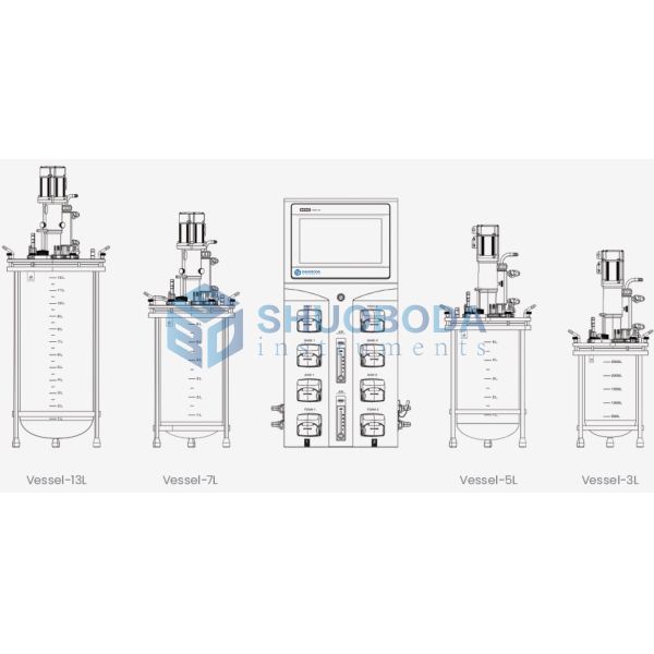 Laboratory Duplex Fermenter Bioreactor Dual Tank Parallel Fermenter FMT-T Series