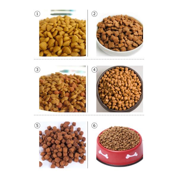 1-6t/H сушат Kibble закуска кошачьей еды собаки обрабатывая промышленное предприятие штрангпресса