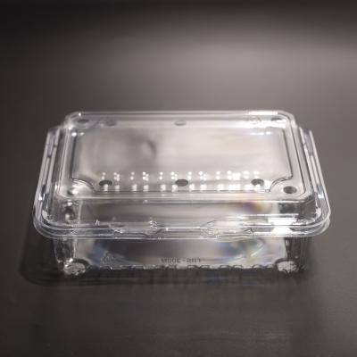 Contenedores de armazenamento de alimentos de plástico PET transparente com tampa