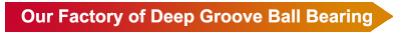 S ведущий экспортер шаровых подшипников 6202 6202ZZ 6202-2RS для производства высокоскоростных вентиляторов