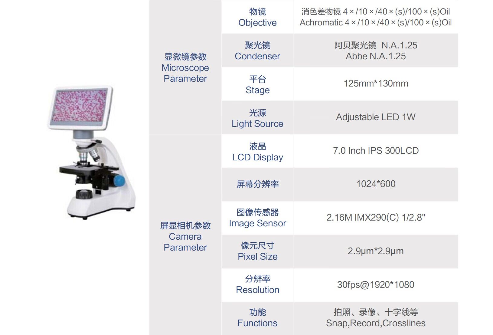 XSZ-177-7INCH Biological Microscope Student Microscope New Sale Manufacture