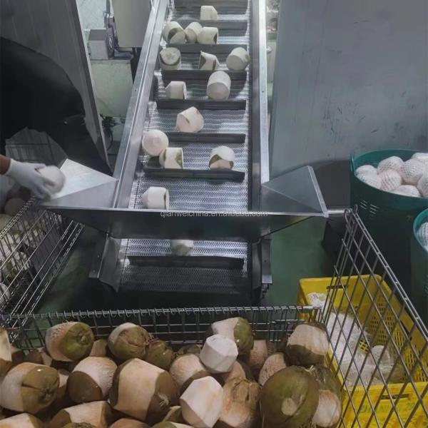 Turnkey Virgin Automatic Processing Line Coconut Water Oil Extracting Machine Extractor