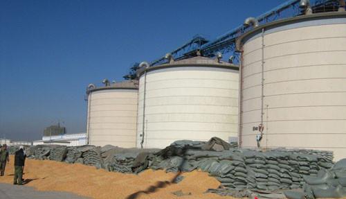 General Warehouse and Bonded warehouse, Grain warehouse, cold stroage