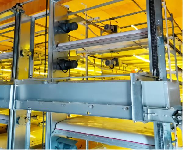 Automatic Layer Battery Chicken Cages 4 Tiers 5 Tiers Agricultural Poultry Farming Cage