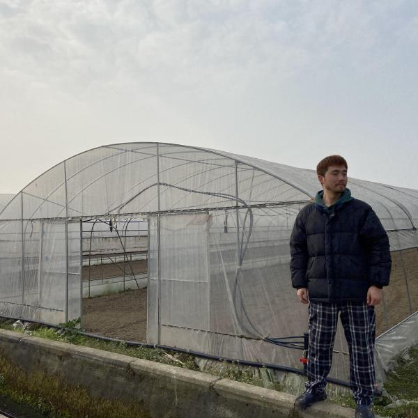 Usines plantant la serre chaude simple d'envergure de film de pe de la feuille de plastique de norme d'agriculture 8m 60m