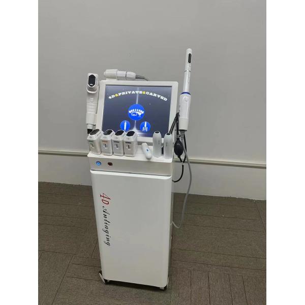 4D HIFU Beauty Salon Equipment Ice Head 3 In1