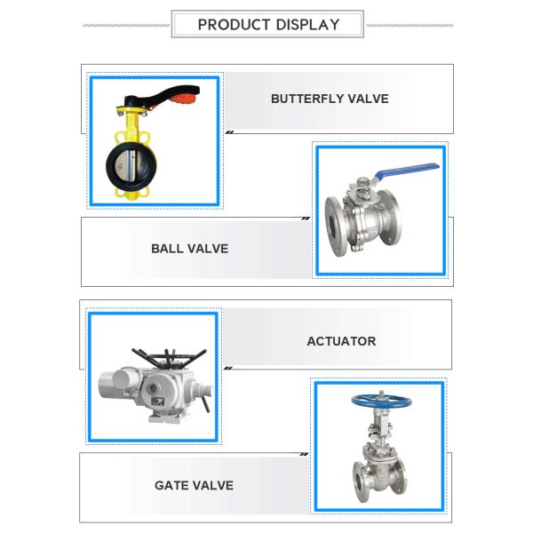 Carbon Steel St20 A32112821 12820 Gost/ANSI B16.5 Flange