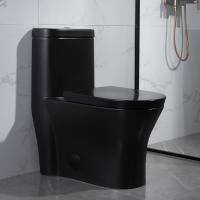 porcelaine noire standard américaine de toilette d'une seule pièce de 300mm Siphonic
