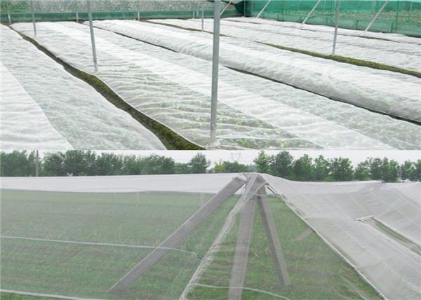 Heat Resistance 45gsm Insect Screen Mesh , Disease Prevention Insect Proof Net