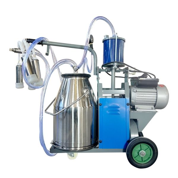 Piston Milking Machine-Single Bucket