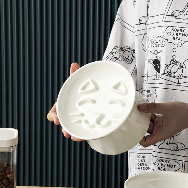 Espinha de proteção Cat Water Bowl da bacia alta cerâmica de Slow Food do animal de estimação do pé