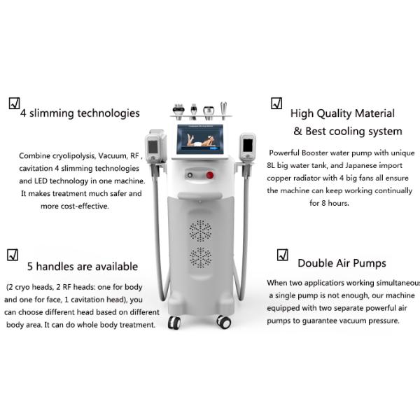 kryolipolysis slim freeze belt 5 treatment head fat loss machine