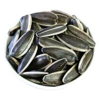 Hot sale 361/363/5009 ect. organic sunflower seeds with cheap price in 2023 from factories in China