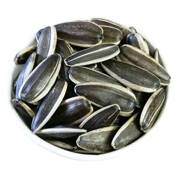 Hot sale 361/363/5009 ect. organic sunflower seeds with cheap price in 2023 from factories in China