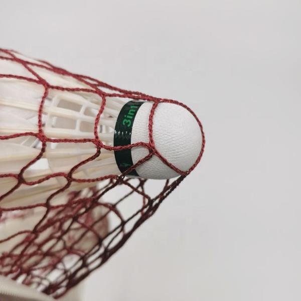 Polyester Thread Collapsible Badminton Net Quadruple Binding Steel Wire Adjustable Badminton Set