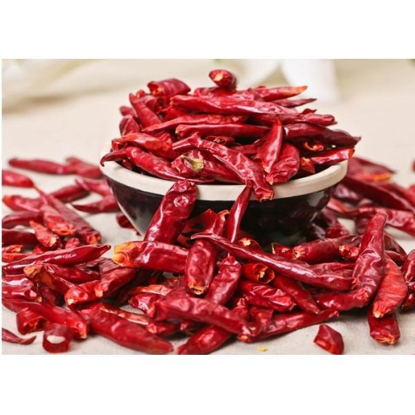KOSHER Pepper Chile De Arbol 25KG Spicy Dried Chiles 40mm Length