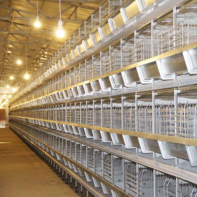 High Performance Poultry Chicken Cage 4 / 5 / 6 / 8 Tiers 120 * 60 * 70 Cm Size