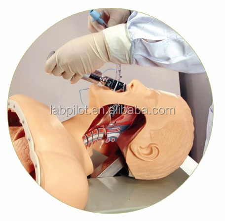 Electronic Intubation Training Head for Advanced Airway Management Model NG Tube Function