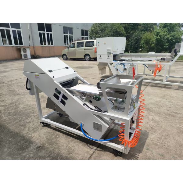 Conveyor Belt Model Color Sorter Machine with Ai Function