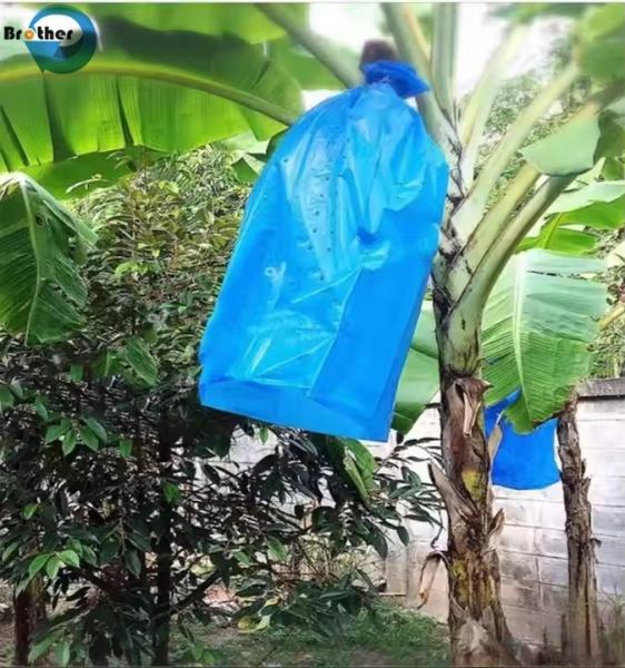Custom Logo Printed Plastic Soft Non-Woven Polypropylene Banana Bag