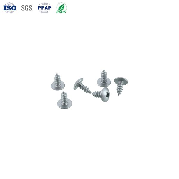 Customized Dacromet Coated Phillips Pan Head Self-Tapping Screws with Point Tail