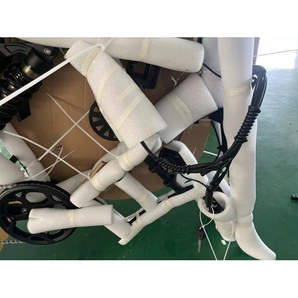 Smart Sensor Dual Battery Cargo Ebike Customized for Family Delivery Convenience