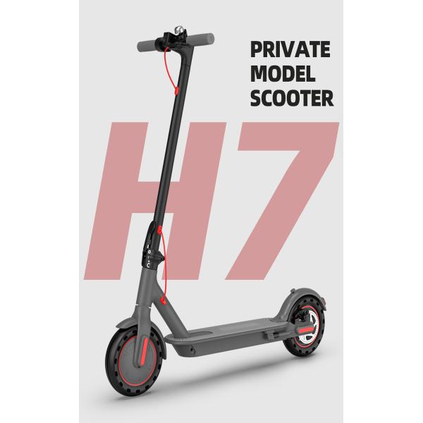 High Speed Dual Motor Scooter For Adults Fold Scooters Two Wheels Motorcycle Scooter