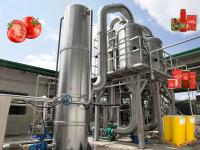 Linha de processamento automática frio da ketchup do molho de tomate esmagado