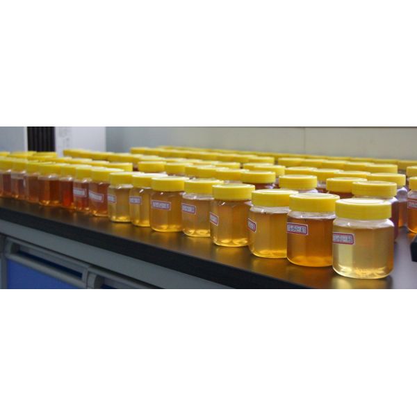 Jujube Sidr Pure Raw Honey Organic Natural Bee Honey Dark Amber Color