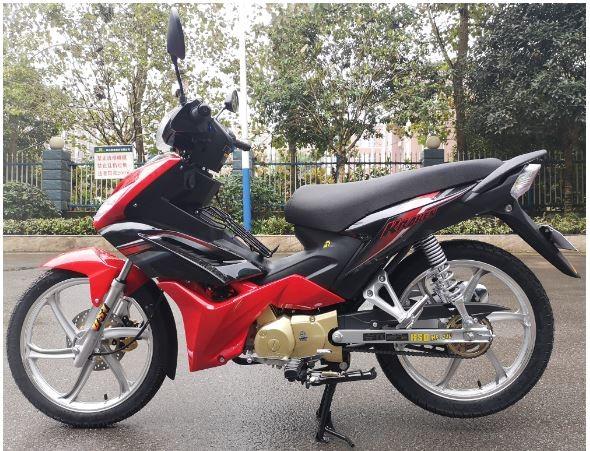 4 Stroke 110cc Cub Motorcycle Air cooled Engine Eagle 8th 85km/h Max Speed
