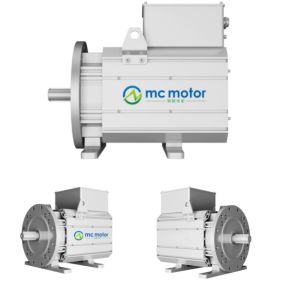 Industrial Blower Motor