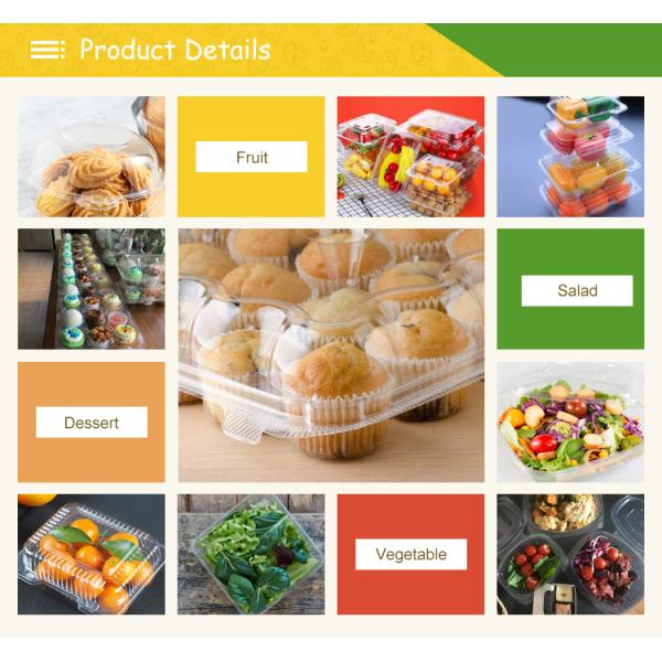 Eco Friendly 16 & 24 Oz Salad Containers with Attached Lids Disposable for Fresh Produce