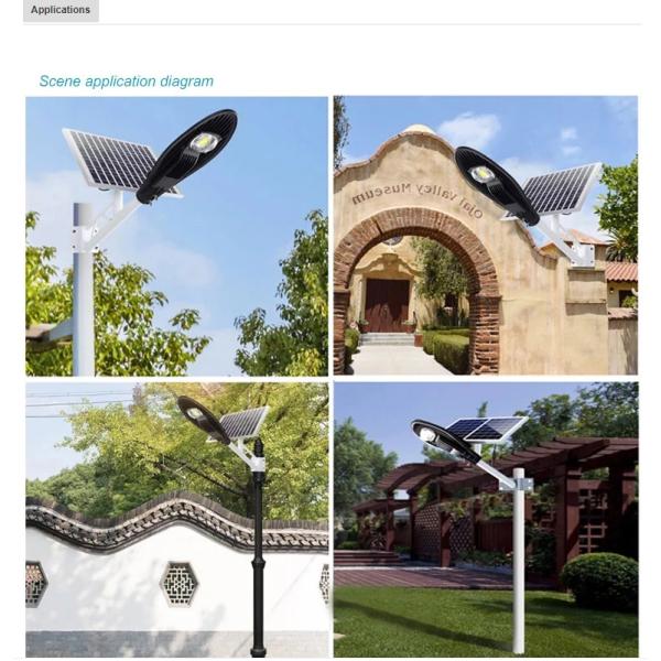 Solar Power High Lumen 30W 60W 100W 150W Cob Street Light With Solar Panel Aluminum die-casting housring