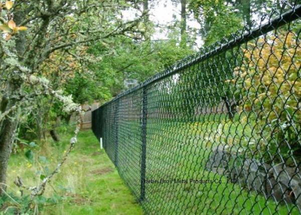 PVC Coated Wire Netting Fence / Green Wire Fencing Chain Link For Zoo Protection