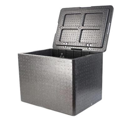 Do refrigerador reciclável amigável do PPE da caixa do PPE do ODM Eco do OEM isolação térmica