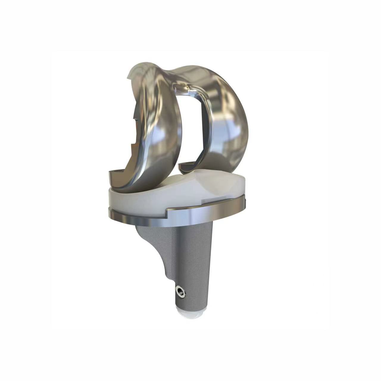 Loong Knee System
