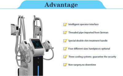 Hot Sale factory price ETG50-4S freeze fat cool body sculpting fat freezing cryolipolysis machine for salon clinic
