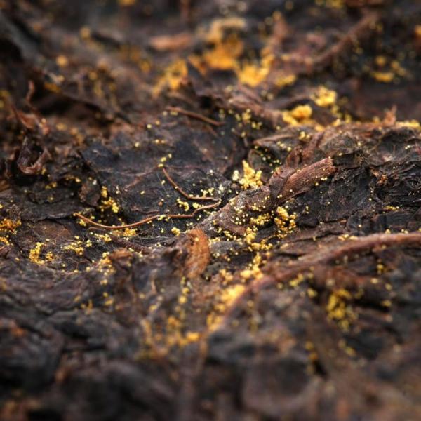 Custom Tea Hot Flat Tummy Tea Tea with Handmade Compressed Processing and Mellow Golden Flower Fragrance