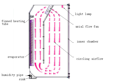 Environmental Seed Germination Climatic Chamber With Temperature Humidity Testing 1000L