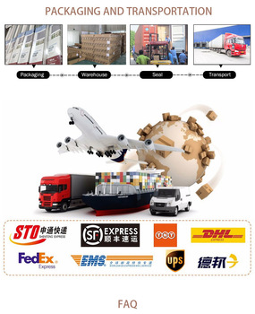 Restroom Windows Waterproof Zebra Sun Shade Roller Blinds