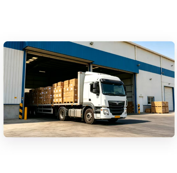 DDP Sea Freight Shipping to Saudi Arabia  for Cosmetic Liquid / Powder