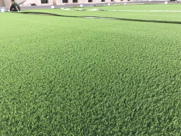 Artificial Grass Baseball Turf Football Grass For Soccer Ground 60mm