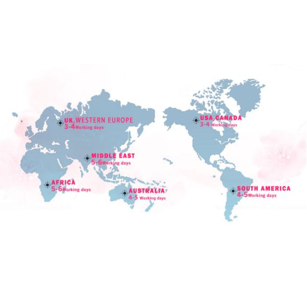 Virgin Human Hair Lace Closure 4 Inch By 13 Inch Frontal Natural Black Silk Straight