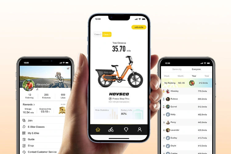 Cargao Electric Bike EU/UK Stock >60km Range Aluminum 15Ah 20Ah Lithium Battery Fat Tire Legal Off-Road Use Rear Hub Brushless