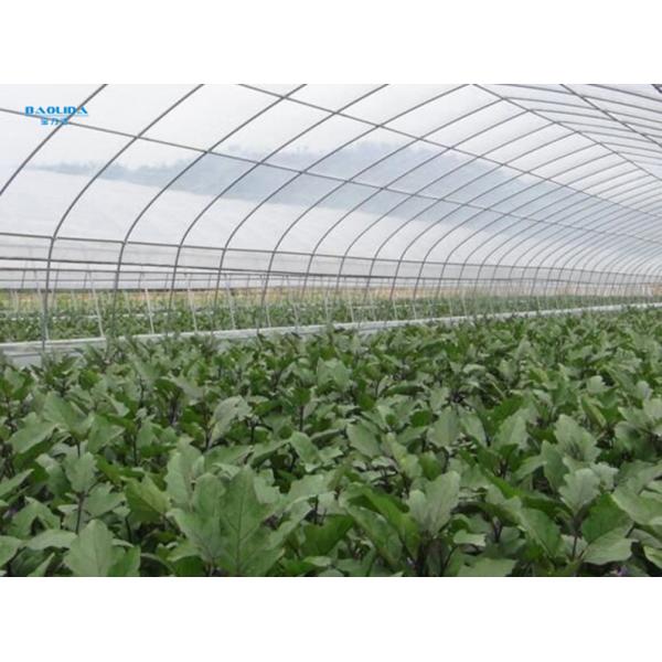 Cubierta plástica del invernadero de la casa del aro de las cosechas/de la alta casa del aro del túnel