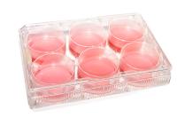 Microbiologie bonne de plat de culture cellulaire du tissu 6 d'irradiation gamma