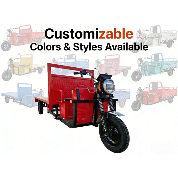 Electric Transport Tricycle